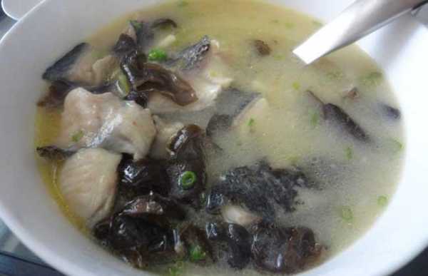 孕期感冒吃什么(感冒可以吃黑鱼吗) 第3张 孕期感冒吃什么(感冒可以吃黑鱼吗) 第3张