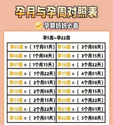 孕期周数和月份(一年周数对应月份) 第1张 孕期周数和月份(一年周数对应月份) 第1张