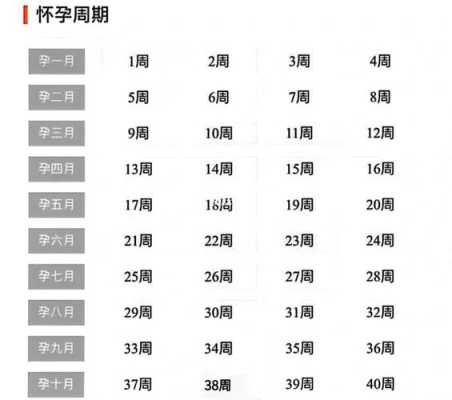 孕期周数和月份(一年周数对应月份) 第2张 孕期周数和月份(一年周数对应月份) 第2张