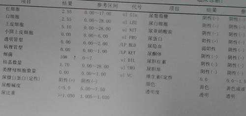 孕32周,尿常规检查细菌计数高很多,孕期尿检细菌偏高是怎么回事 第3张 孕32周,尿常规检查细菌计数高很多,孕期尿检细菌偏高是怎么回事 第3张