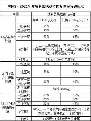 胎儿冠状动脉瘘可自愈（2022先心病报销政策）  第2张