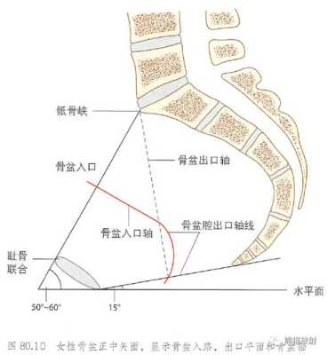 怀孕四个月孩子股骨弯曲成角怎么办呢,胎儿股骨弯曲会变直吗图片 第1张 怀孕四个月孩子股骨弯曲成角怎么办呢,胎儿股骨弯曲会变直吗图片 第1张