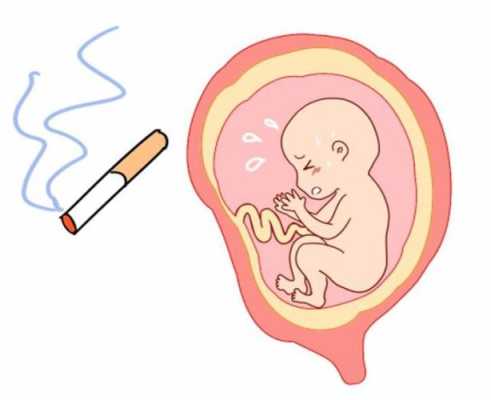 孕妇吸腹会影响胎儿吗（吸腹对胎儿有影响吗）  第1张