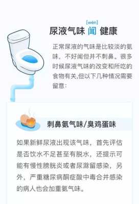 怀孕后发现每次尿尿,气味特别大,什么原因,孕期尿味道大怎么回事 第2张 怀孕后发现每次尿尿,气味特别大,什么原因,孕期尿味道大怎么回事 第2张