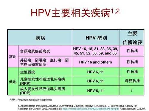 妇科hpv怎么检查,孕期检查Hpv吗 第1张 妇科hpv怎么检查,孕期检查Hpv吗 第1张