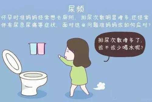 怀孕期间尿频（怀孕后一直想上厕所是怎么回事）  第2张