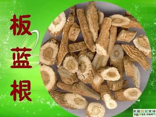 怀孕期间喉咙痛持续几天了,可以喝板蓝根吗,孕期可以吃板蓝根吗感冒了 第2张 怀孕期间喉咙痛持续几天了,可以喝板蓝根吗,孕期可以吃板蓝根吗感冒了 第2张