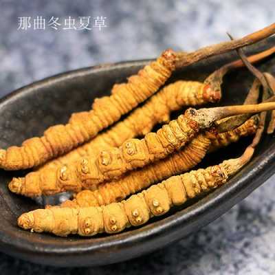 孕期可以吃虫草吗(孕期可以吃虫草吗?) 第3张 孕期可以吃虫草吗(孕期可以吃虫草吗?) 第3张