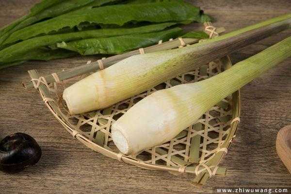孕期可以吃茭白吗(13个月宝宝可以吃茭白吗) 第2张 孕期可以吃茭白吗(13个月宝宝可以吃茭白吗) 第2张