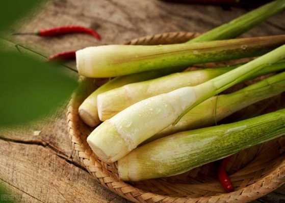 孕期可以吃茭白吗(13个月宝宝可以吃茭白吗) 第1张 孕期可以吃茭白吗(13个月宝宝可以吃茭白吗) 第1张
