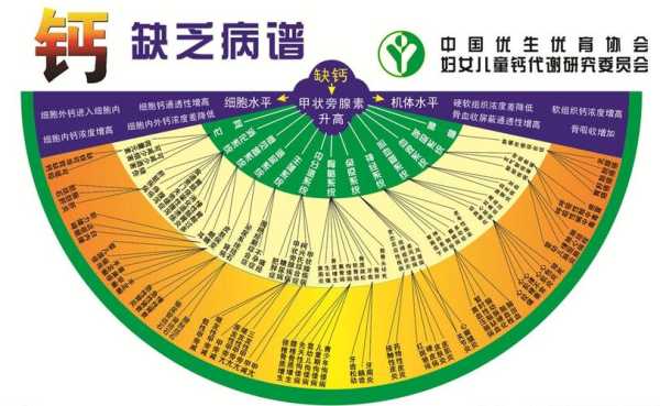 孕妇缺镁有什么症状和危害,孕期缺钙有什么症状和危害 第1张 孕妇缺镁有什么症状和危害,孕期缺钙有什么症状和危害 第1张