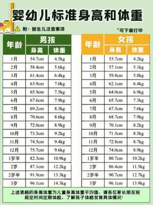92天的婴儿身高体重是多少,孕92天的胎儿什么样子 第3张 92天的婴儿身高体重是多少,孕92天的胎儿什么样子 第3张
