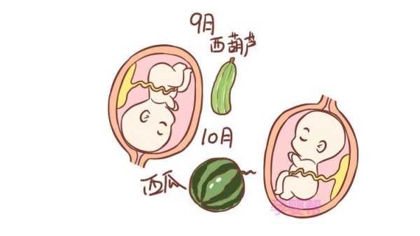 胎儿过月不生的因素(胎儿过月不生的因素有哪些) 第3张 胎儿过月不生的因素(胎儿过月不生的因素有哪些) 第3张