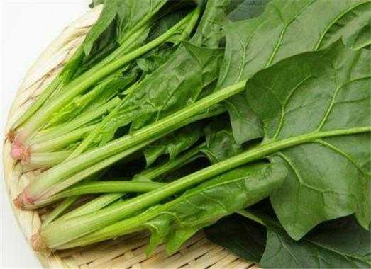 孕期不能吃菠菜吗(菠菜吃剩能过夜吗) 第2张 孕期不能吃菠菜吗(菠菜吃剩能过夜吗) 第2张