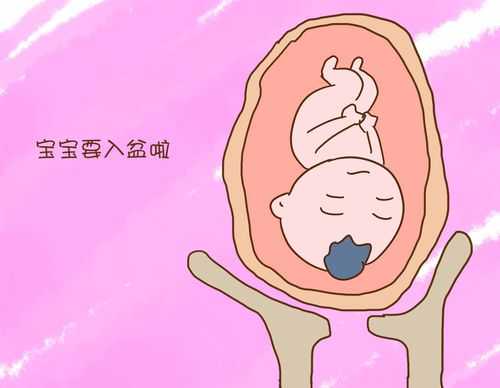 胎儿入盆孕妇有感觉吗(胎儿入盆孕妇有感觉吗正常吗) 第2张 胎儿入盆孕妇有感觉吗(胎儿入盆孕妇有感觉吗正常吗) 第2张