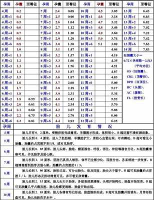 孕期宝宝大小参数值(孕期宝宝大小参数值) 第1张 孕期宝宝大小参数值(孕期宝宝大小参数值) 第1张