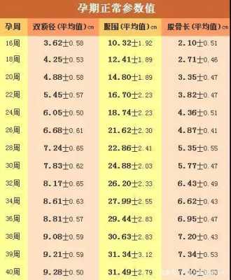 孕期宝宝大小参数值(孕期宝宝大小参数值) 第2张 孕期宝宝大小参数值(孕期宝宝大小参数值) 第2张