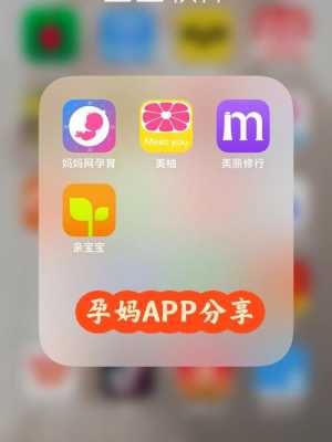 好用的孕期app推荐(好用的孕期app推荐一下) 第2张 好用的孕期app推荐(好用的孕期app推荐一下) 第2张