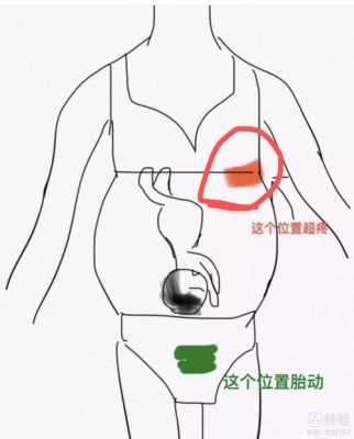 孕期肋骨疼怎么回事,孕期宫颈口疼是怎么回事 第3张 孕期肋骨疼怎么回事,孕期宫颈口疼是怎么回事 第3张