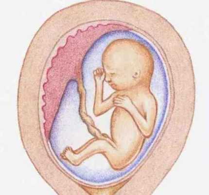胎儿在子宫里会哭吗（孕晚期哭对宝宝有影响吗）  第2张