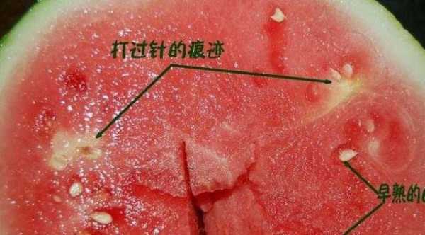 怎么鉴别杨梅泡过糖精水,孕妇吃杨梅胎儿会有胎记吗 第3张 怎么鉴别杨梅泡过糖精水,孕妇吃杨梅胎儿会有胎记吗 第3张