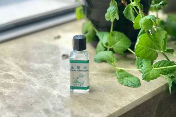 怀孕可以用风油精吗,孕期可以闻风油精吗? 第2张 怀孕可以用风油精吗,孕期可以闻风油精吗? 第2张