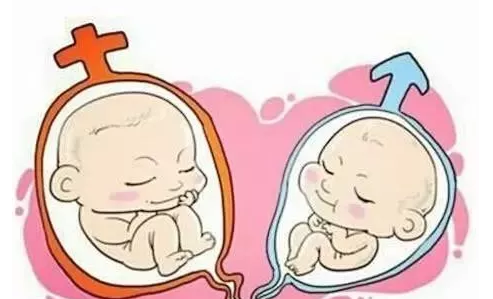 孕期困是男孩女孩（孕妇困是男孩还是女孩）  第2张