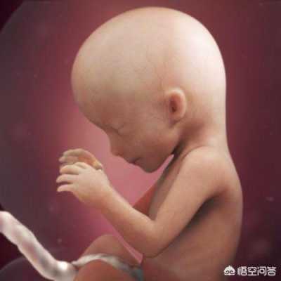 宝宝在肚子里几个月长头发,胎儿长头发在几个月停止生长 第3张 宝宝在肚子里几个月长头发,胎儿长头发在几个月停止生长 第3张