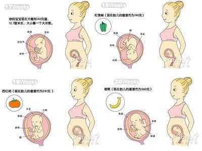 宝宝在肚子里几个月长头发,胎儿长头发在几个月停止生长 第2张 宝宝在肚子里几个月长头发,胎儿长头发在几个月停止生长 第2张