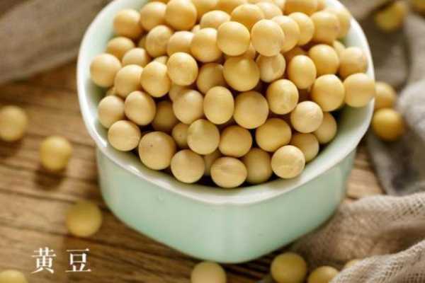 孕期可以吃黄豆吗（高血压糖尿病可以吃黄豆吗）  第1张