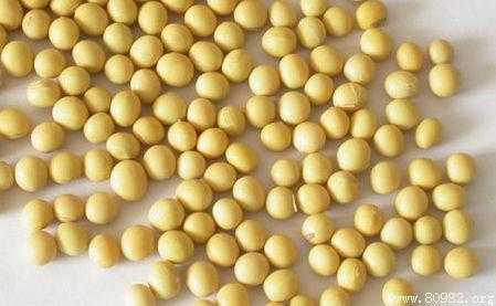 孕期可以吃黄豆吗（高血压糖尿病可以吃黄豆吗）  第2张