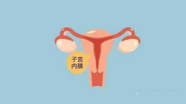 子宫壁薄对胎儿的影响(子宫壁薄对胎儿的影响大吗) 第1张 子宫壁薄对胎儿的影响(子宫壁薄对胎儿的影响大吗) 第1张