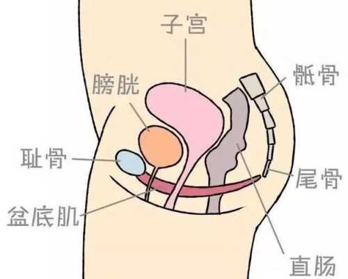 孕期外阴变化图片 第2张 孕期外阴变化图片 第2张