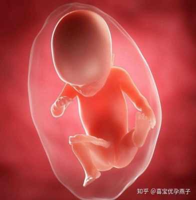 受精卵着床后症状有什么,孕期着床有哪些现象和症状 第2张 受精卵着床后症状有什么,孕期着床有哪些现象和症状 第2张