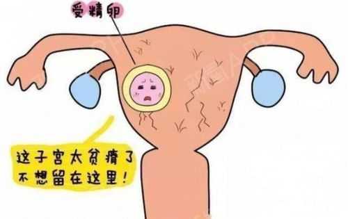 受精卵着床后症状有什么,孕期着床有哪些现象和症状 第3张 受精卵着床后症状有什么,孕期着床有哪些现象和症状 第3张