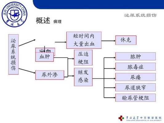 泌尿系统感染的检查方法,胎儿泌尿系统怎么检查最准确  第3张