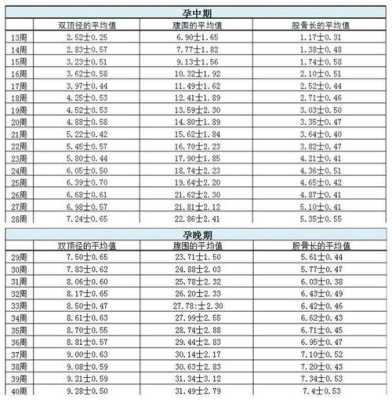 胎儿腹围比标准值大(胎儿腹围比标准值大是怎么回事) 第1张 胎儿腹围比标准值大(胎儿腹围比标准值大是怎么回事) 第1张