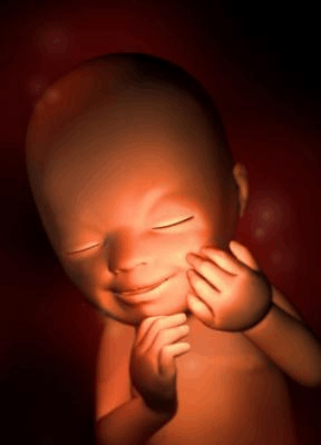 怀孕19周胎儿在什么位置(怀孕19周胎儿在什么位置正常) 第1张 怀孕19周胎儿在什么位置(怀孕19周胎儿在什么位置正常) 第1张
