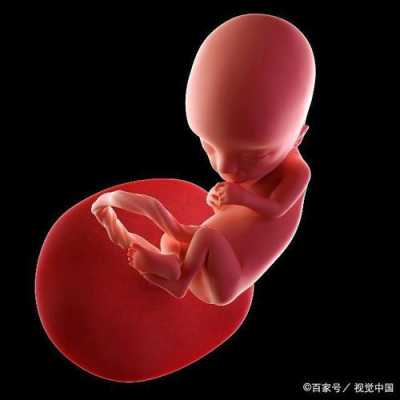 肚子大胎儿小怎么回事(肚子大胎儿小怎么回事啊) 第2张 肚子大胎儿小怎么回事(肚子大胎儿小怎么回事啊) 第2张