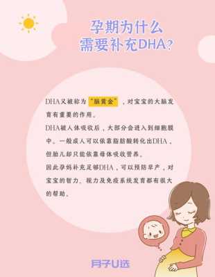 孕期吃什么dha好(孕期吃什么dha好吸收) 第3张 孕期吃什么dha好(孕期吃什么dha好吸收) 第3张