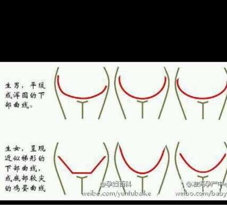 孕期乳房变化看男女(一个女人长相像男人这样辨别) 第1张 孕期乳房变化看男女(一个女人长相像男人这样辨别) 第1张