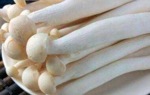 孕期可以吃哪些海鲜(孕妇可以吃海鲜菇吗) 第1张 孕期可以吃哪些海鲜(孕妇可以吃海鲜菇吗) 第1张
