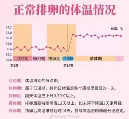 孕期体温高说明什么(孕期体温高说明什么原因) 第1张 孕期体温高说明什么(孕期体温高说明什么原因) 第1张