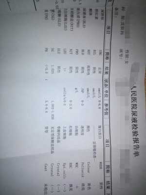 酮体弱阳性对胎儿影响(酮体弱阳性对胎儿影响大吗) 第3张 酮体弱阳性对胎儿影响(酮体弱阳性对胎儿影响大吗) 第3张