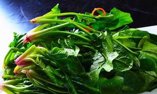 孕妇吃波菜对胎儿好吗(孕妇吃波菜对胎儿好吗有营养吗) 第2张 孕妇吃波菜对胎儿好吗(孕妇吃波菜对胎儿好吗有营养吗) 第2张