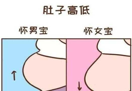 孕期下怀男孩还是女孩(孕期下怀男孩还是女孩) 第2张 孕期下怀男孩还是女孩(孕期下怀男孩还是女孩) 第2张