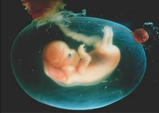 怀孕二十一周胎儿图片(怀孕21周胎儿稳定了吗?怀孕中期会突然胎停吗) 第2张 怀孕二十一周胎儿图片(怀孕21周胎儿稳定了吗?怀孕中期会突然胎停吗) 第2张