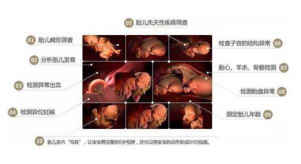 怀孕100天胎儿男女图(怀孕100天胎儿男女图片大全) 第1张 怀孕100天胎儿男女图(怀孕100天胎儿男女图片大全) 第1张