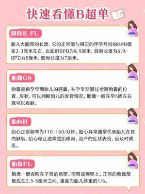 孕期b超单解读(B超单上FL什么意思) 第2张 孕期b超单解读(B超单上FL什么意思) 第2张