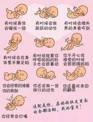 孕32周胎儿胎动姿势图(怀孕三十二周胎动厉害是什么原因) 第1张 孕32周胎儿胎动姿势图(怀孕三十二周胎动厉害是什么原因) 第1张